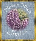 Wisteria Winds