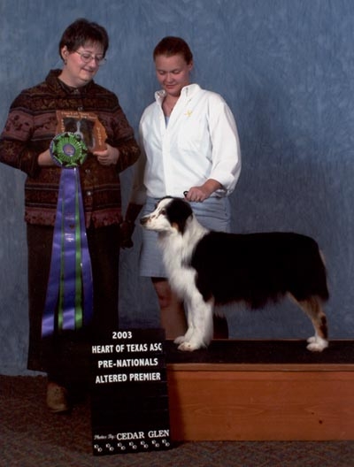 Heart of Texas 2003 ASCA Pre-Nationals