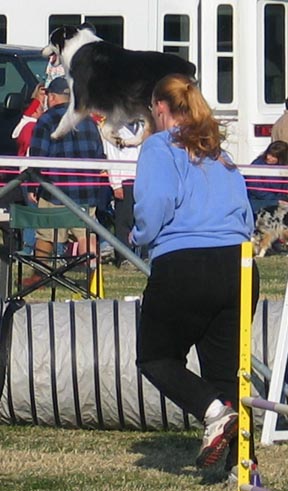 2004 ASCA Nationals Paso Robles, CA