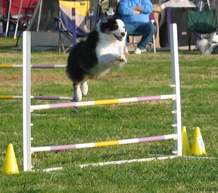 2004 ASCA Nationals Paso Robles, CA