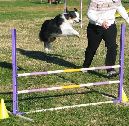 2004 ASCA Nationals Paso Robles, CA