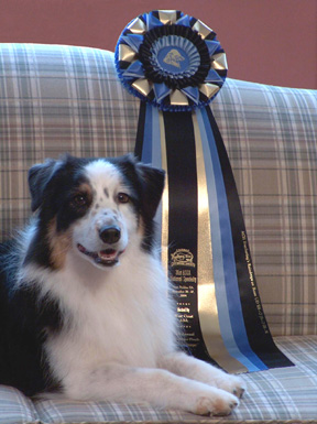 2004 ASCA Utility Finals Champion