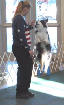 2003 ASCA Nationals