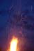 bonfire7