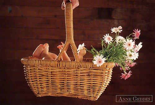 Baby in a basket