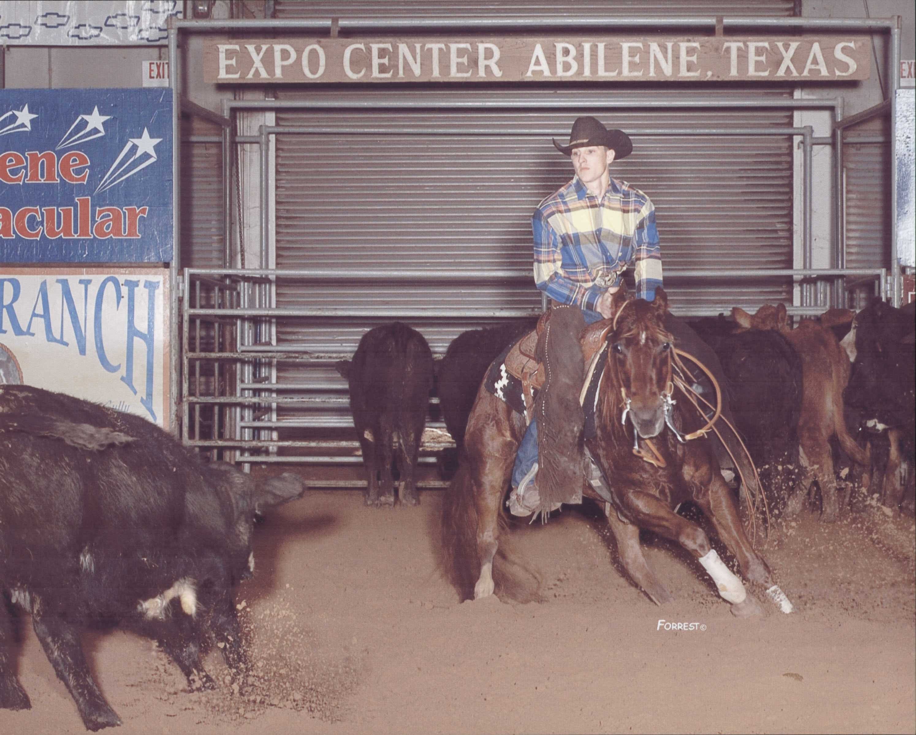 home [www.geocities.ws]