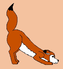 Sam crouching