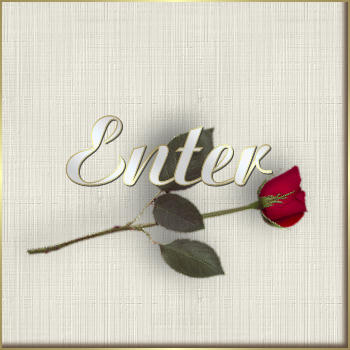 enter button