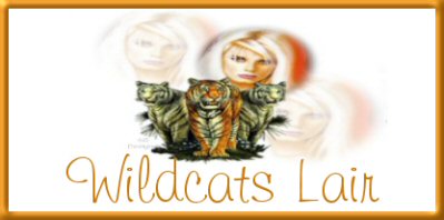 T&H Tags and Stats Group
