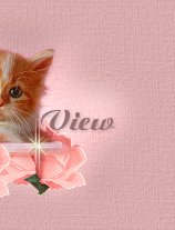 Read my Guestbook