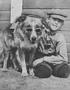 murl and dog