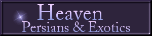Heaven