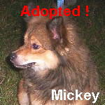 Mickey