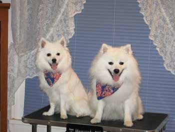 bestfriends