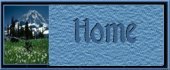 Home Button