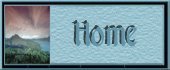 Home Button