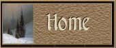 Home Button