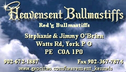 Heavensent Bullmastiffs