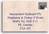 Mail Us