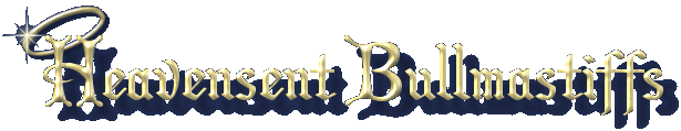 Heavensent Bullmastiffs - Reg'd Bullmastiffs