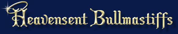 Heavensent Bullmastiffs - Reg'd Bullmastiffs