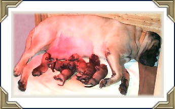 Bree with her babies