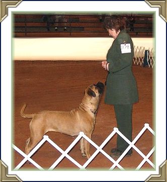 Danier's Heavensent Fullabizness " Gina" CGN