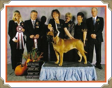Danier's Heavensent Fullabizness "Gina" CGN