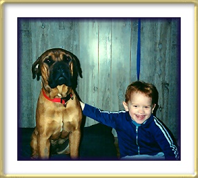 Fairman's Hailey at Heavensent