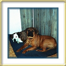 Hailey and Lady