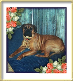 Fairman's Hailey at Heavensent
