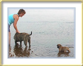 Hailey at the beach