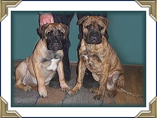 Joei and Diesle