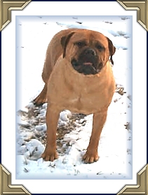 Graniterun's Koda