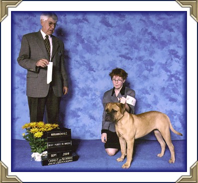 Ch Heavensent's True Charm "Randi" CGN TT