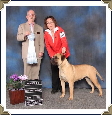 Ch Heavensents Million Dollar Baby "Contessa"