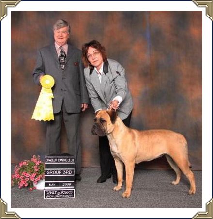 Ch Heavensents Million Dollar Baby "Contessa"