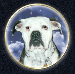 Trixie