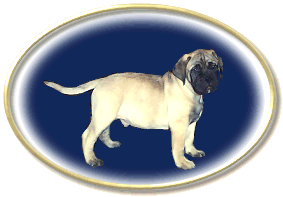 Heavensent's Basic Instinct Troy