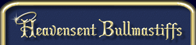 Heavensent Bullmastiffs - Reg'd Bullmastiffs