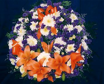 117-1794_IMG.JPG