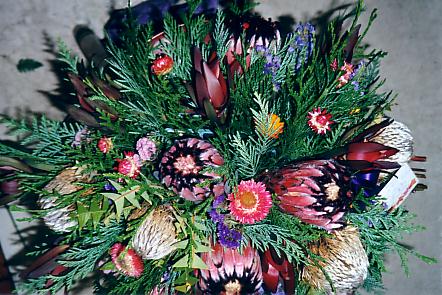 117-1795_IMG.JPG