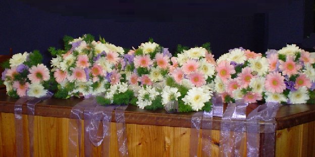 117-1795_IMG.JPG