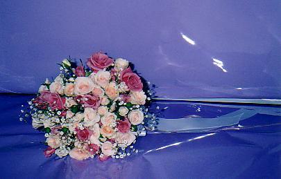 117-1793_IMG.JPG