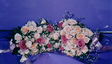 117-1794_IMG.JPG