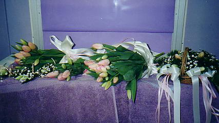 117-1794_IMG.JPG