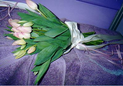 117-1793_IMG.JPG