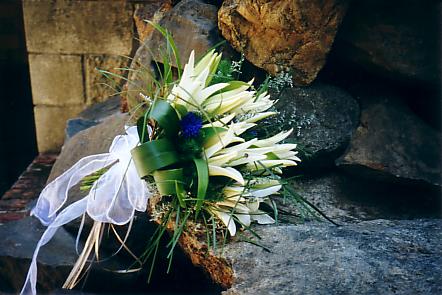 117-1793_IMG.JPG