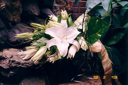 117-1793_IMG.JPG