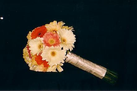 117-1793_IMG.JPG